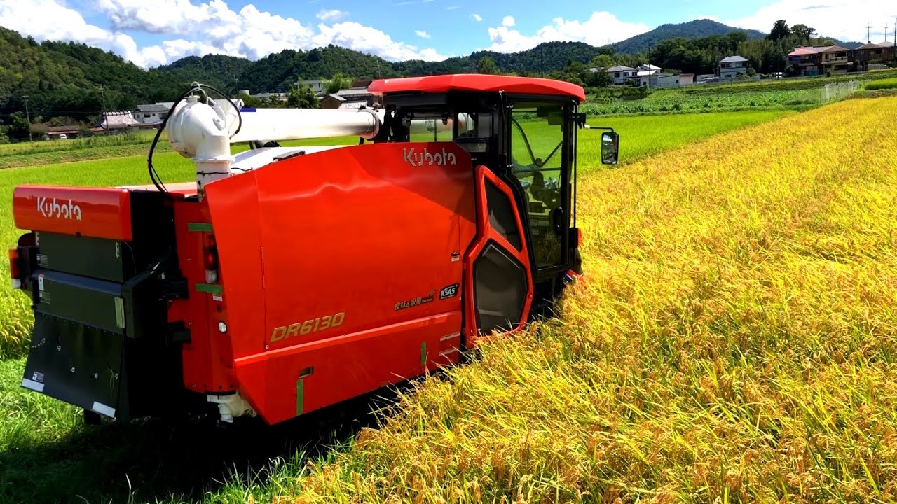 Kubota DR6130 クボタの6条130馬力コンバインで刈り取りSTAR🏃‍♂️