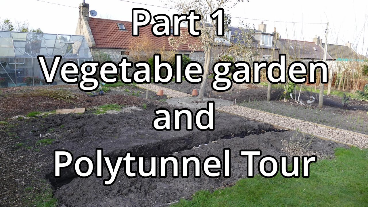 Join Me As I Try To Grow Enough Food For My Family For A Year (March 2022 Part 1)