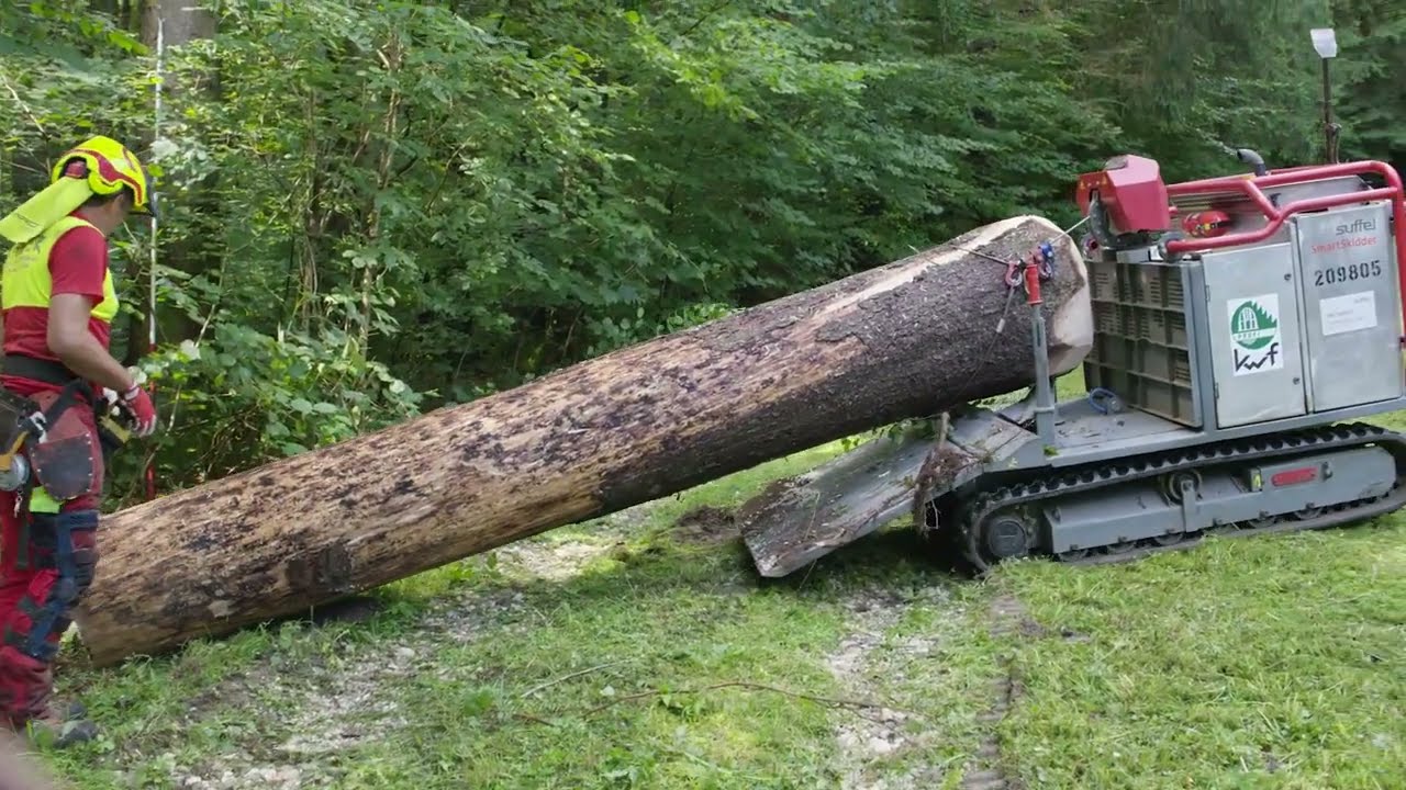 Forstraupe Suffel SmartSkidder : Forstraupe im Praxistest