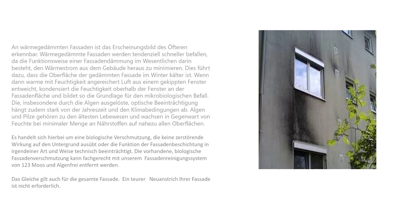 Schwarze Flecken am Fenstersturz