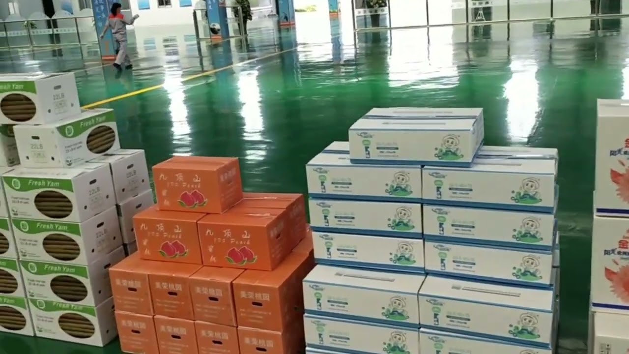 PPHollow Packaging Boxboard Machine |Hollow Corrugated Sheet Extrusion line#extrudermachine #machine