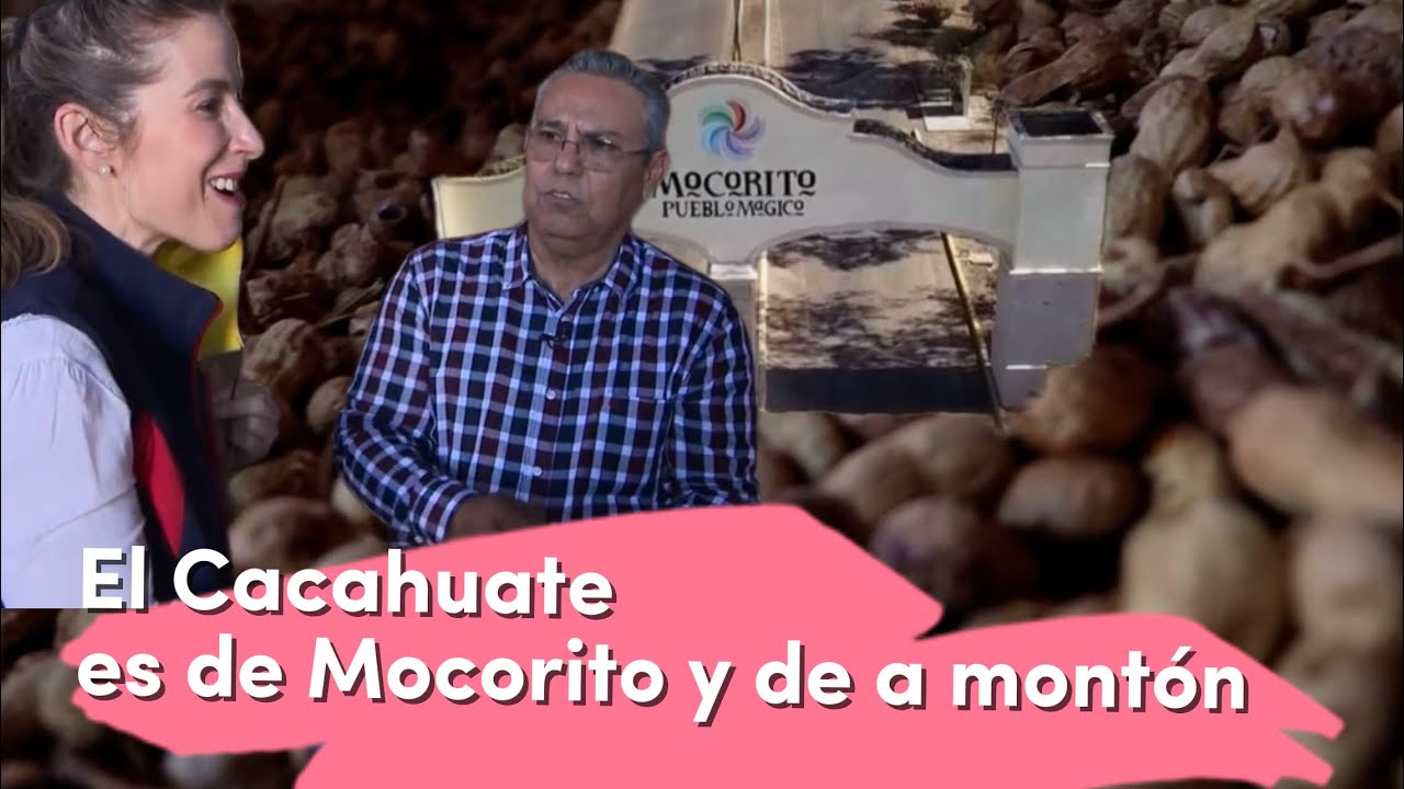 El Cacahuate🥜 viene de Mocorito Sinaloa Se cosecha con máquina en campos verdes La PIÑATA es norteña