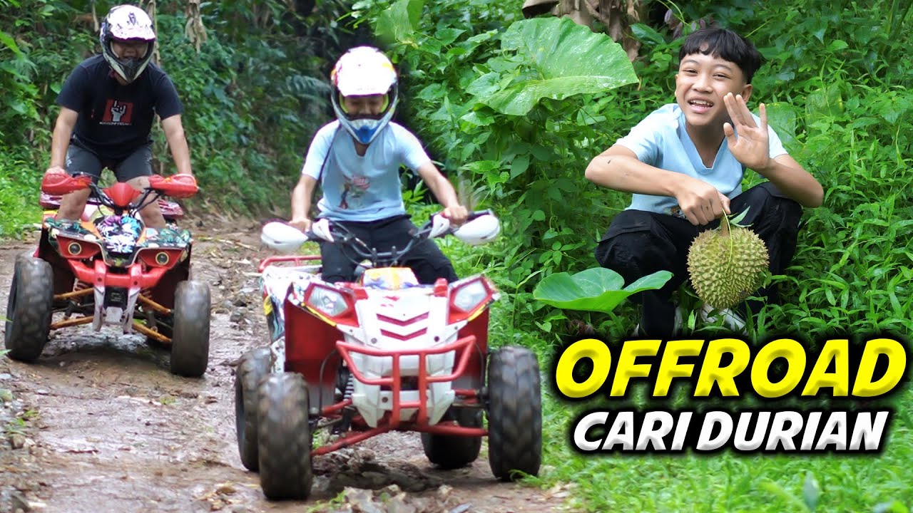 HUNTING DURIAN!! DIMAS DAN AYAH OFFROAD PAKAI ATV SAMBIL CARI DURIAN MUSIM PERTAMA..