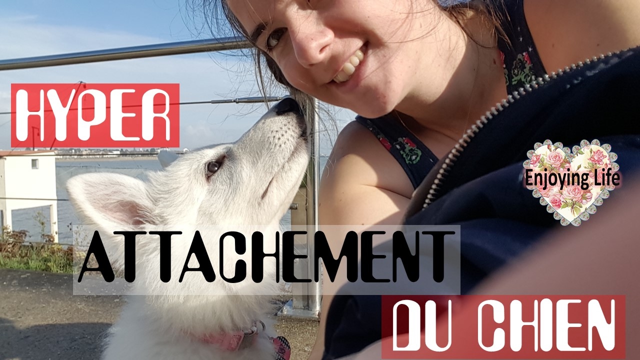L’HYPER ATTACHEMENT, COMMENT NE PAS TOMBER DEDANS ET EN SORTIR? ✿ Enjoying Life