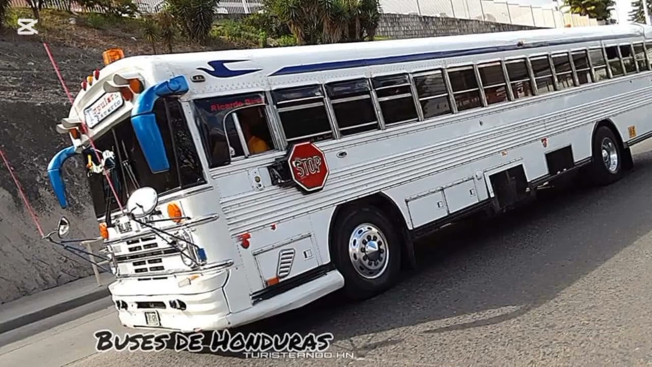 PLAYEROS PARA BUSEROS PARTE 3
