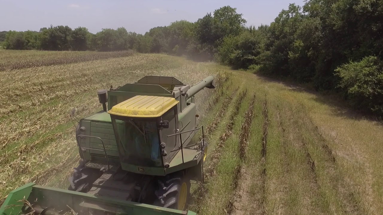 Goerig Brothers Corn Harvest 2018