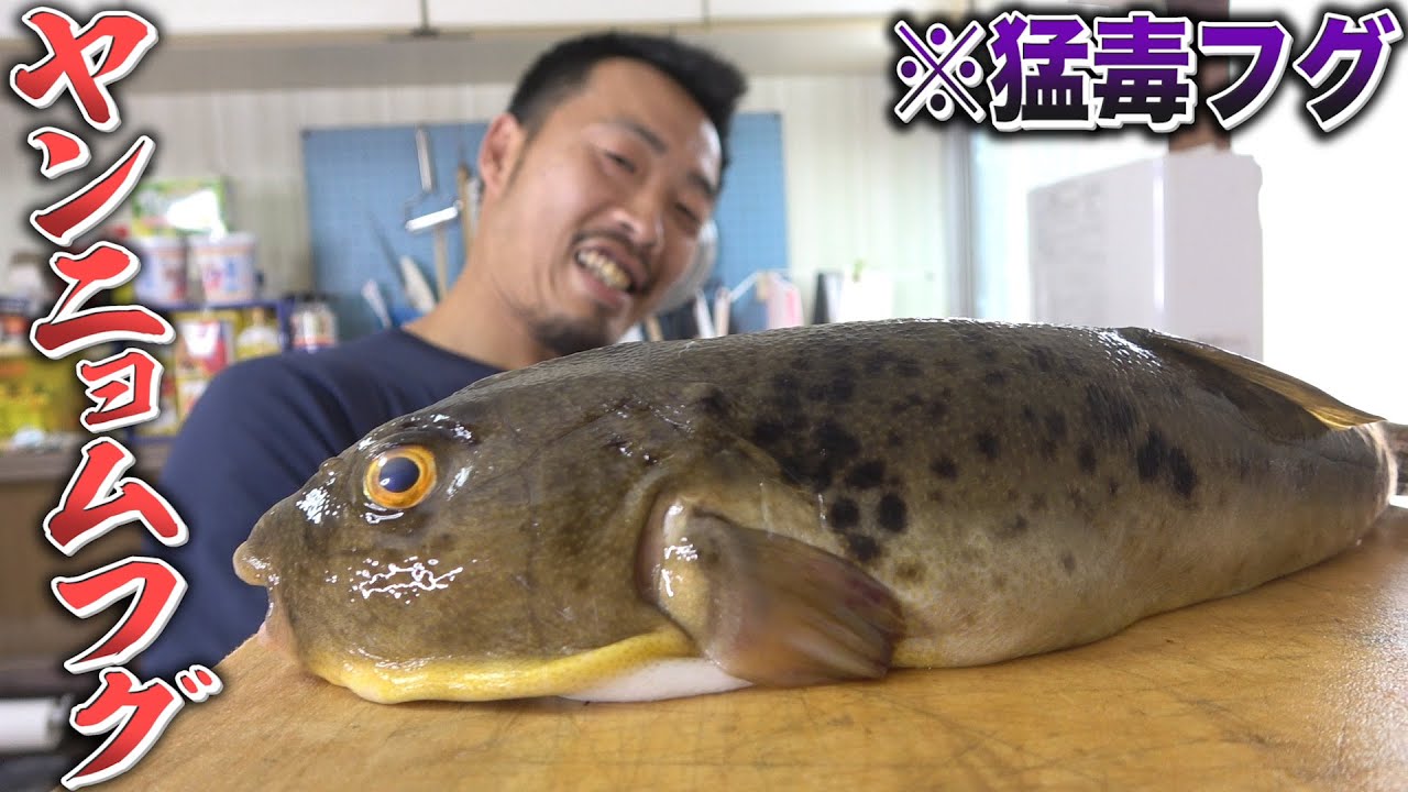干物職人が絶賛する！フグの干物の美味しい食べ方！※辛いものが苦手な方はご注意ください‼︎
