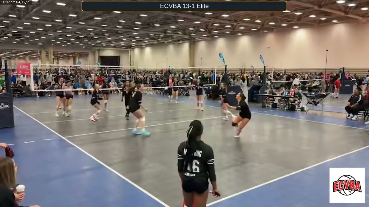 ECVBA 13 1 Elite vs 501 Volley 13 1 Ntl 2025 04 12