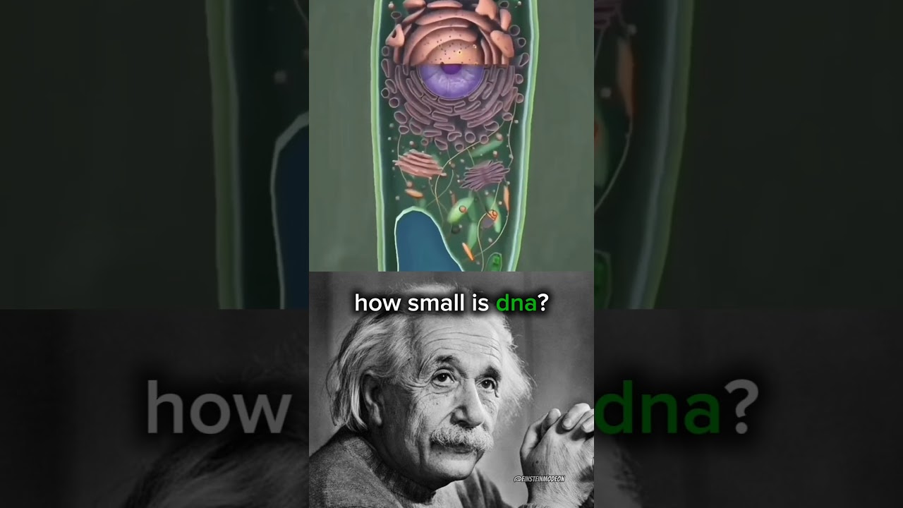 DNA is fascinating #mindblowing