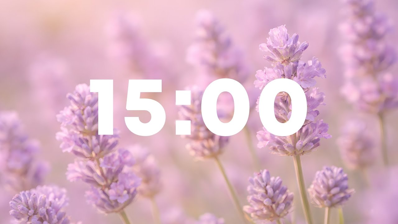 15 Minute Pomodoro Timer with Calm Guitar Music | Cozy Study Session