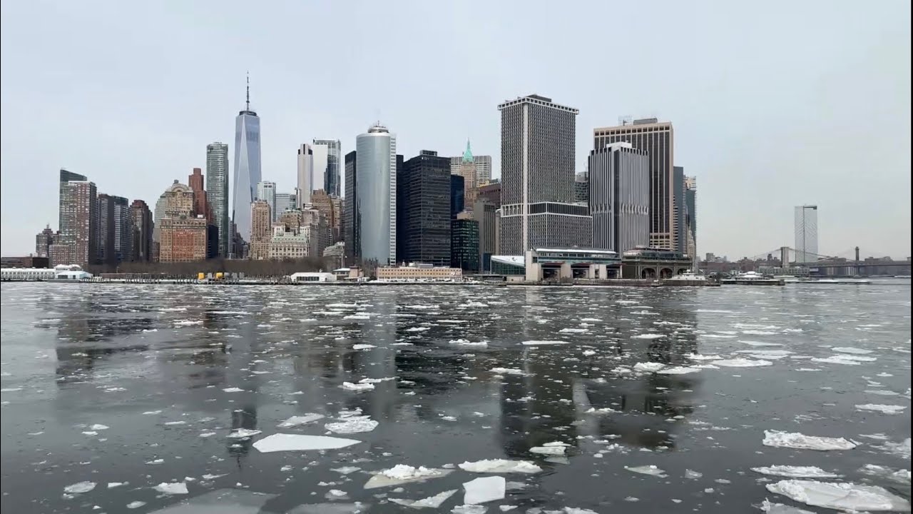 Antartida en New York. 