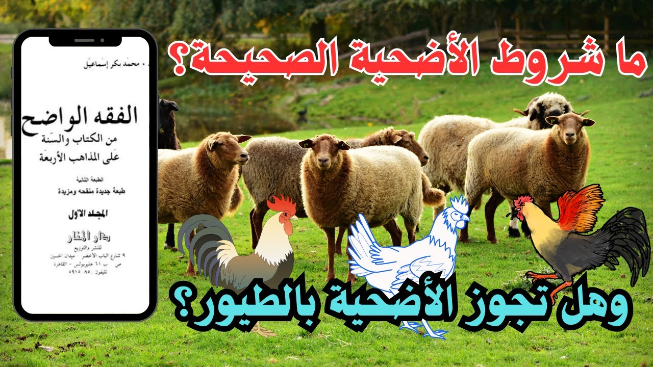 شروط الأضحية الصحيحة │ من كتاب الفقه الواضح │ د. محمد بكر إسماعيل