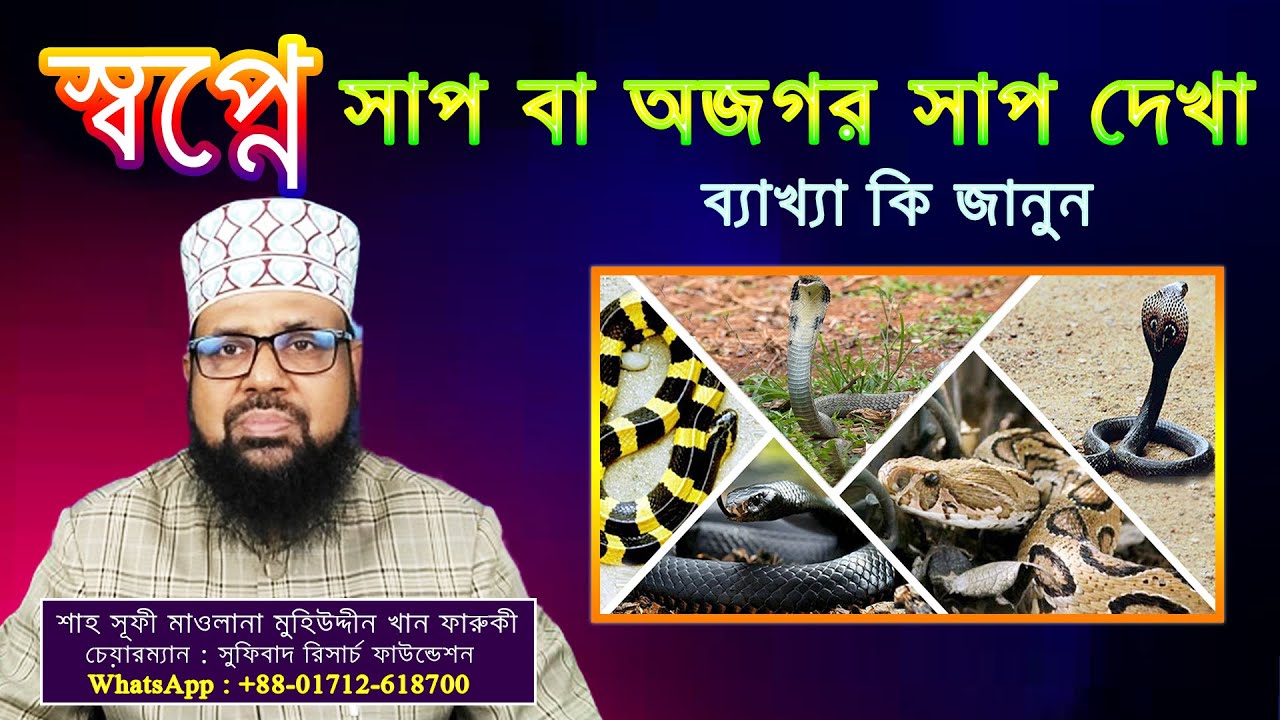 স্বপ্নে সাপ অথবা অজগর সাপ দেখা, ব্যাখ্যা কি জানুন || seeing snake in a dream.