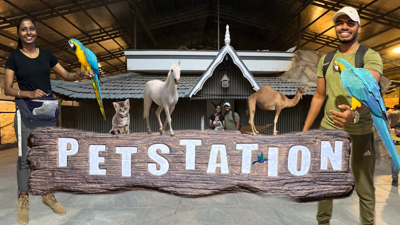 PET STATION KANNUR.  💯% 🥰