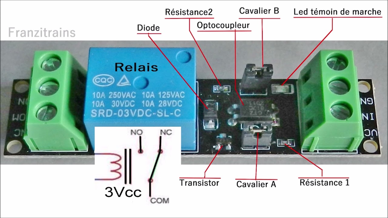 Le module optocoupleur à relais de déclenchement.