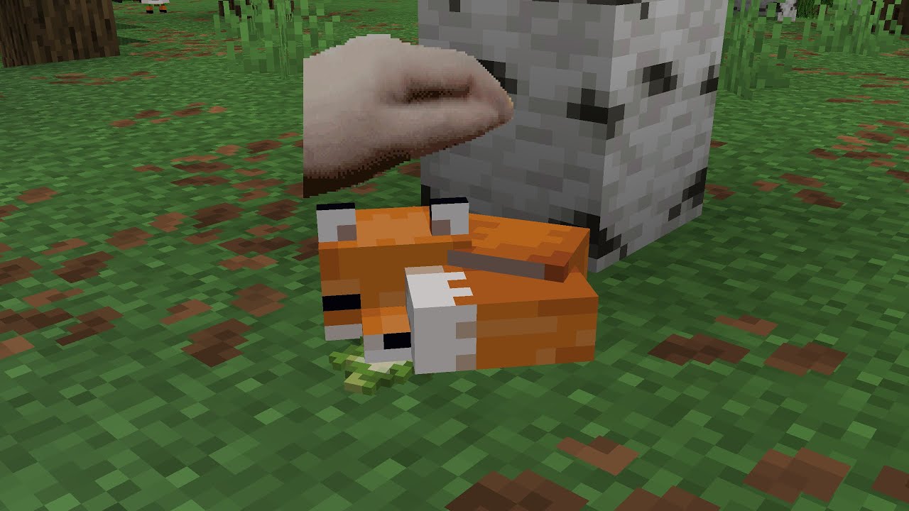 Pat Pat Pat