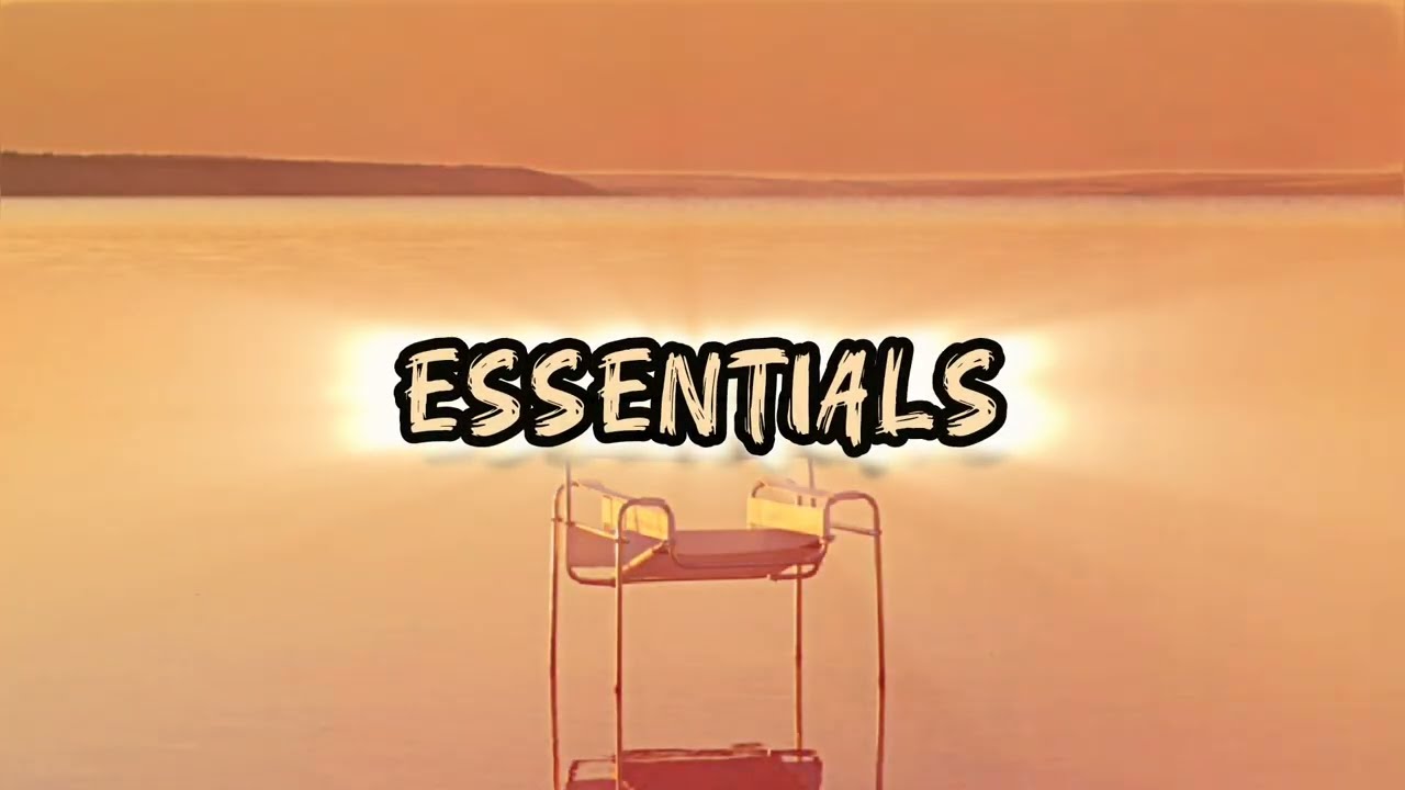 Chris Brown x Tory Lanez Type Beat, Burna Boy Type beat | Essentials (98 bpm)