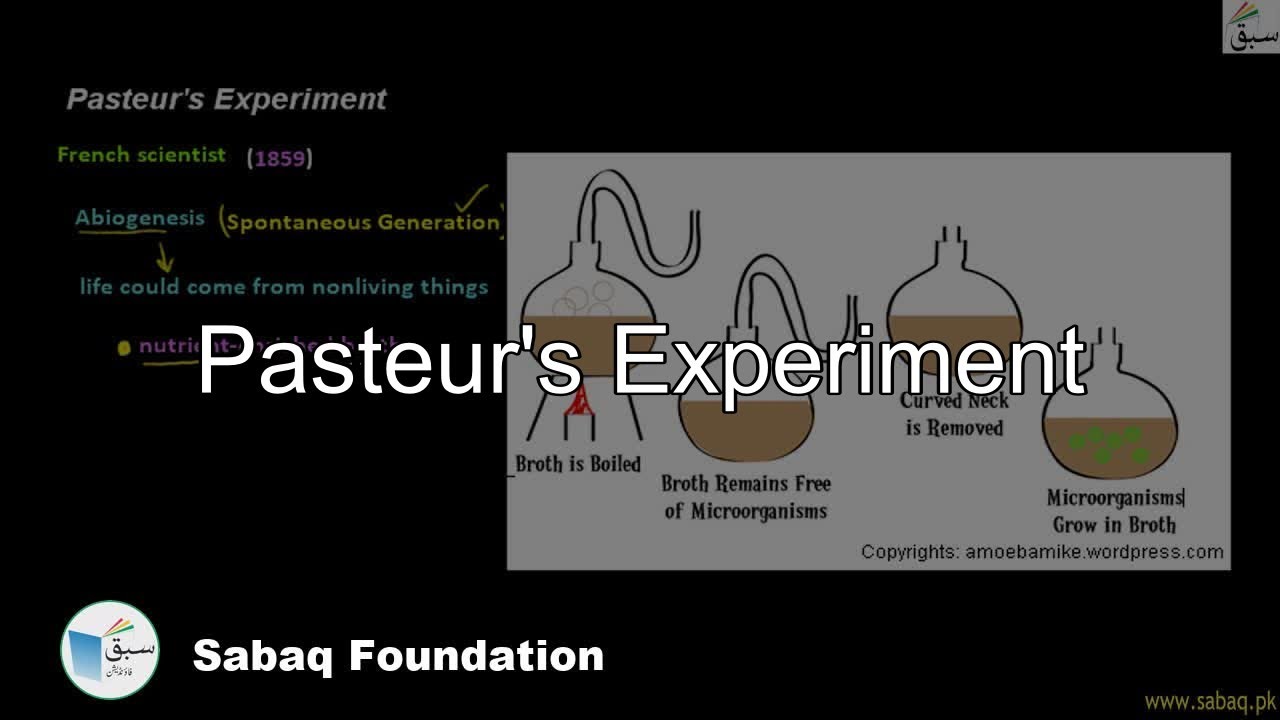 Pasteur's Experiment, Biology Lecture | Sabaq.pk