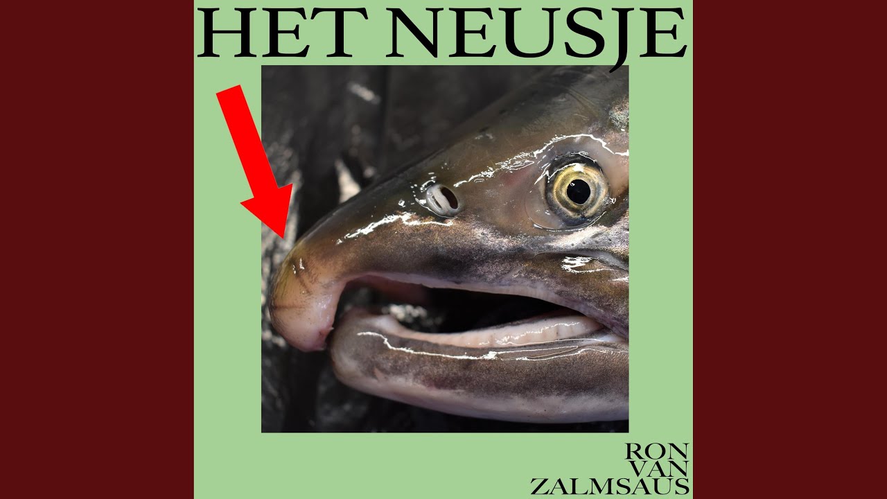 Mevrouw Rijnink (feat. Mevrouw Rijnink)