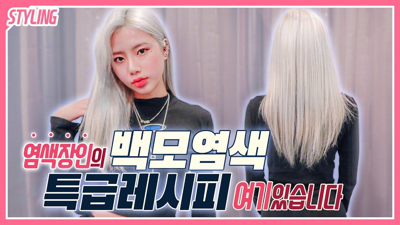 헤어디자이너가 알려주는 백모염색 레시피의 모든것.(+웰라 일루미나) Bleached hair