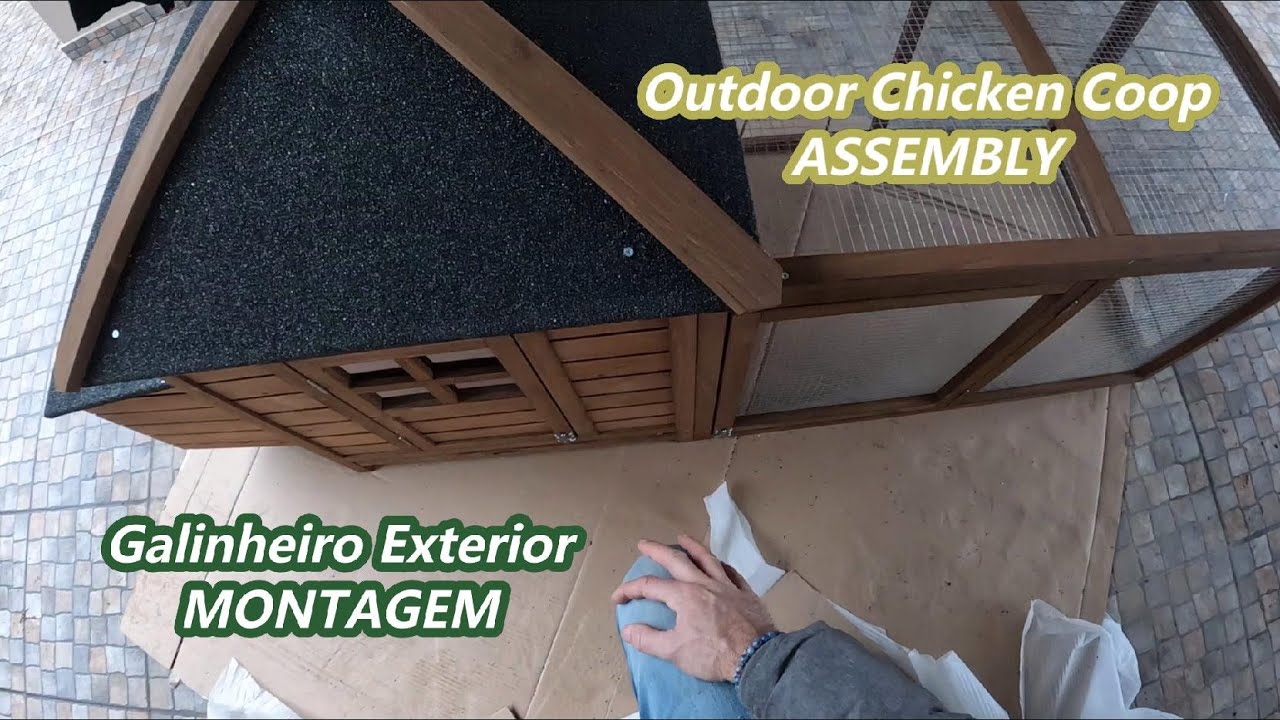Galinheiro Exterior / POV / Chicken Coop                        