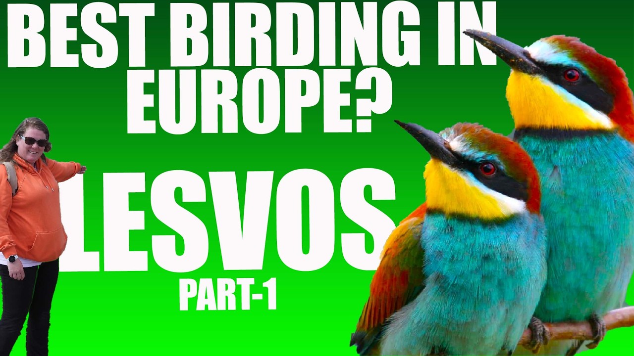 Birding in Lesvos – Part 1: Is This Europe’s Best Birding Spot?