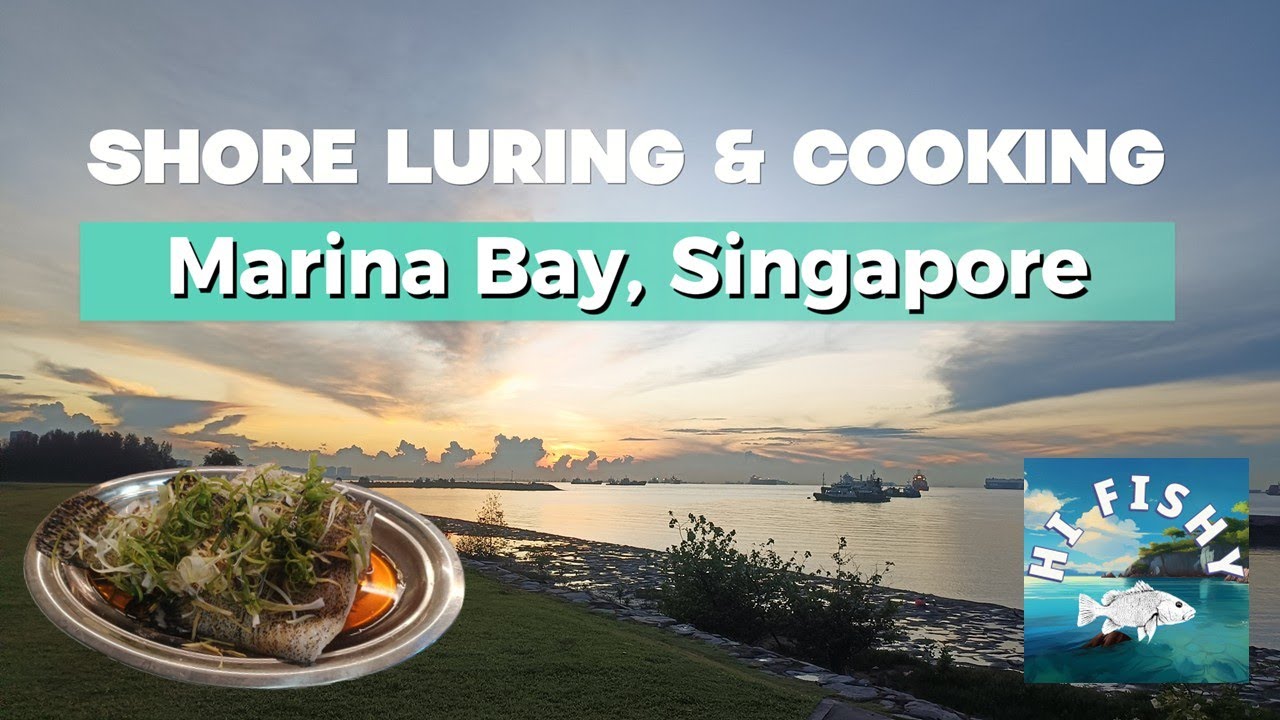 Shore Luring at Singapore Marina Bay (Catch & Cook) 新加坡滨海湾岸边路亚钓（钓后煮）
