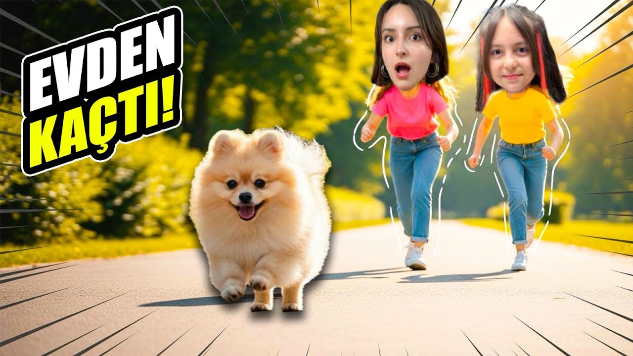 KÖPEĞİMİZ COOKIE EVDEN KAÇTI‼️KAÇIŞ OPERASYONU‼️PRENSES HİRANUR ZEYNEP