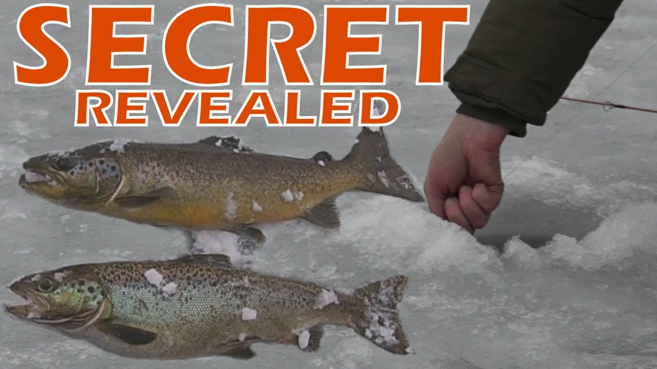 Ice Fishing SECRET REVEALED! Don't Mistake a Salmon for a Brown Trout! LANDLOCKED SALMON Fishing