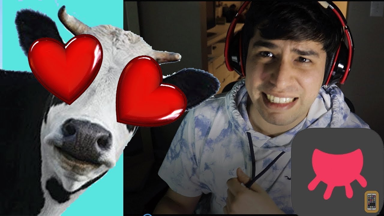 Dating Cows?!?! - Tudder App