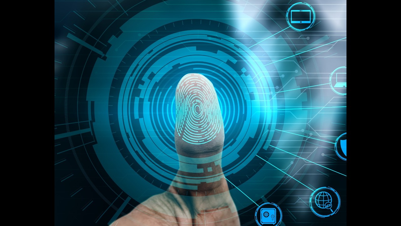 Navigating the Digital Frontier