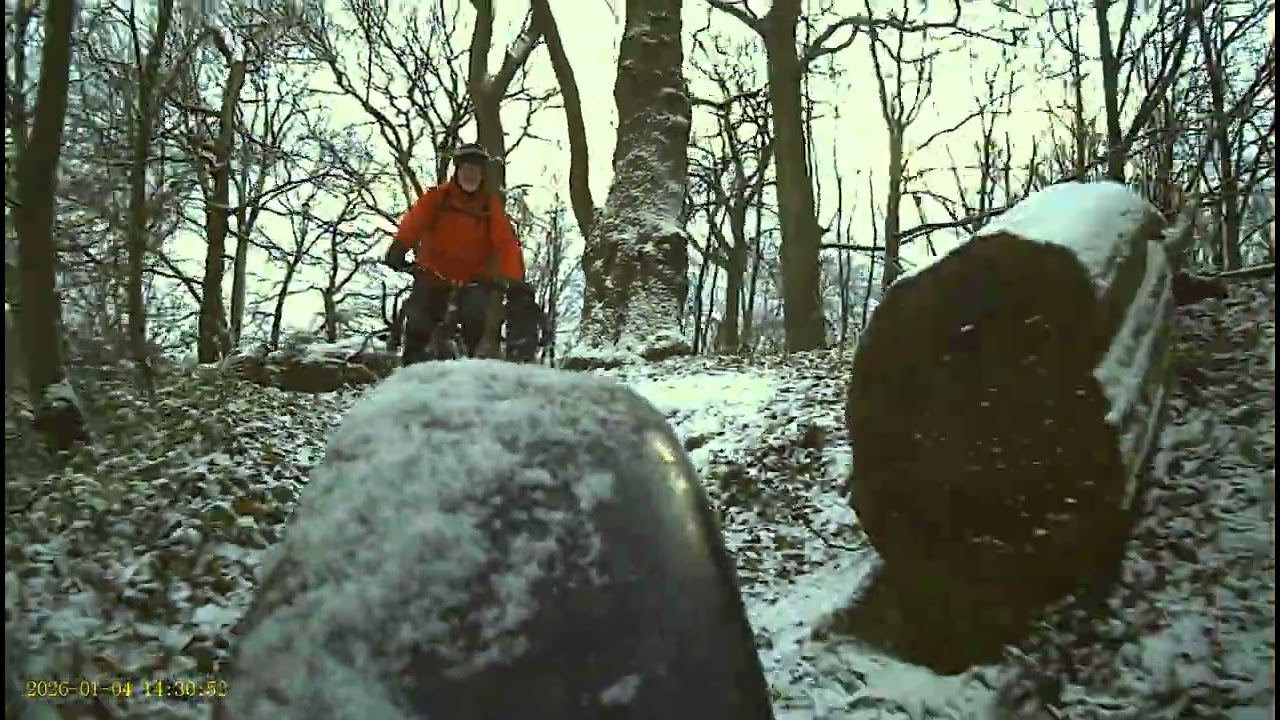 Let it snow - Rear view (5)