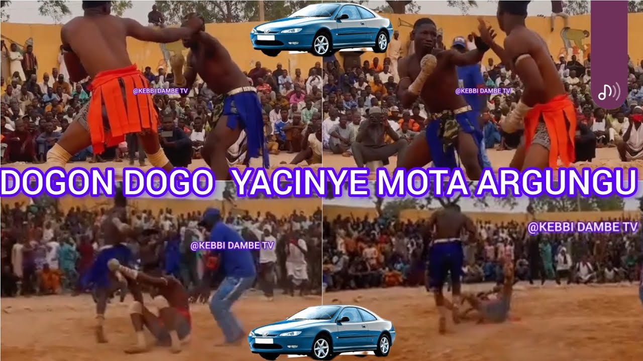 YAU DOGON DOGO YACINYE MOTA KEBBI STATE  A ARGUNGU  YABIGE BAHAGON JAMILU BANGI