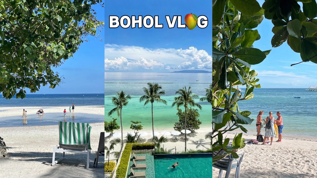 보홀 vlog🌴| 보홀세부 3박 4일 여행 | 모달라리조트 | 미친 마사지 추천 | 보홀 맛집 | 알로나비치 | 필리핀 여행