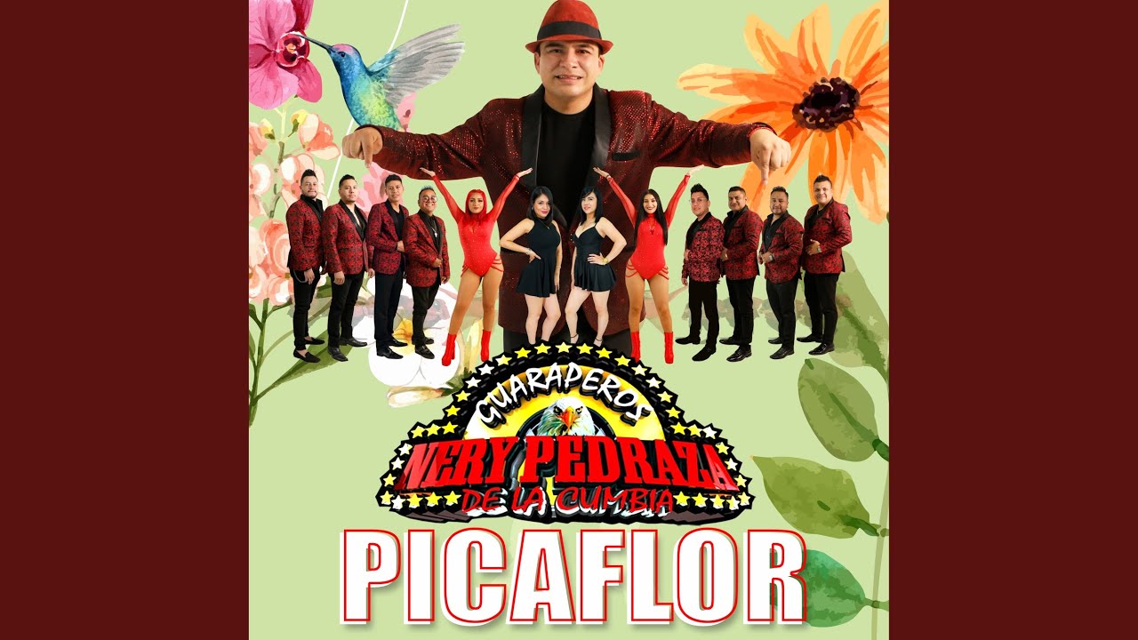 Picaflor
