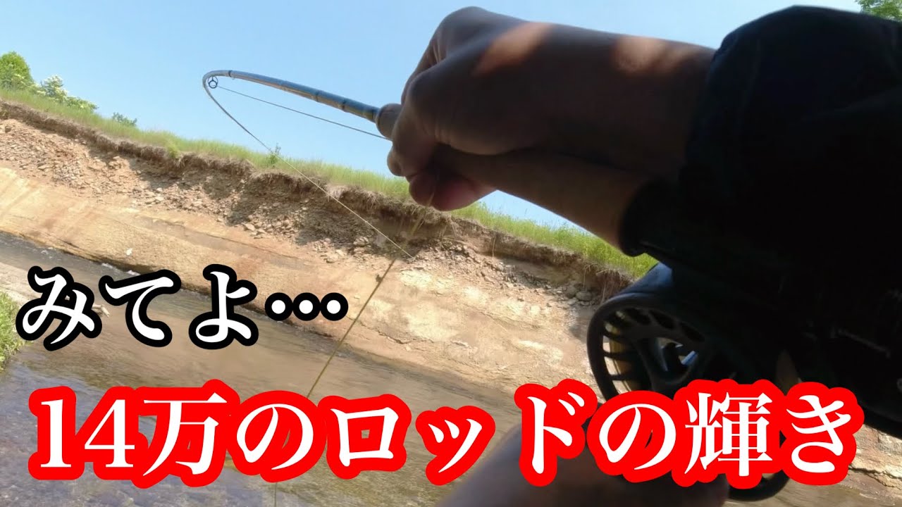 【十勝Fly Fishing】scott入魂！3番ロッドで釣り上げる54レインボー