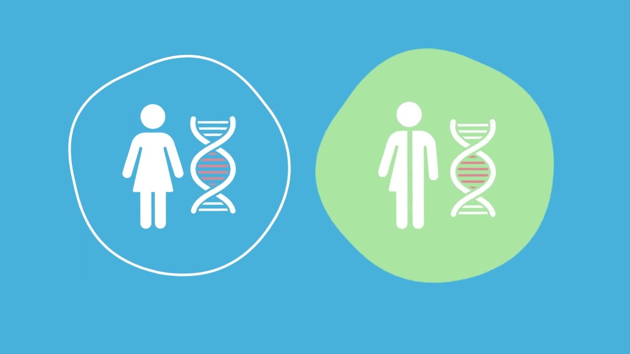 What is Genetic Matching? - Cryos International