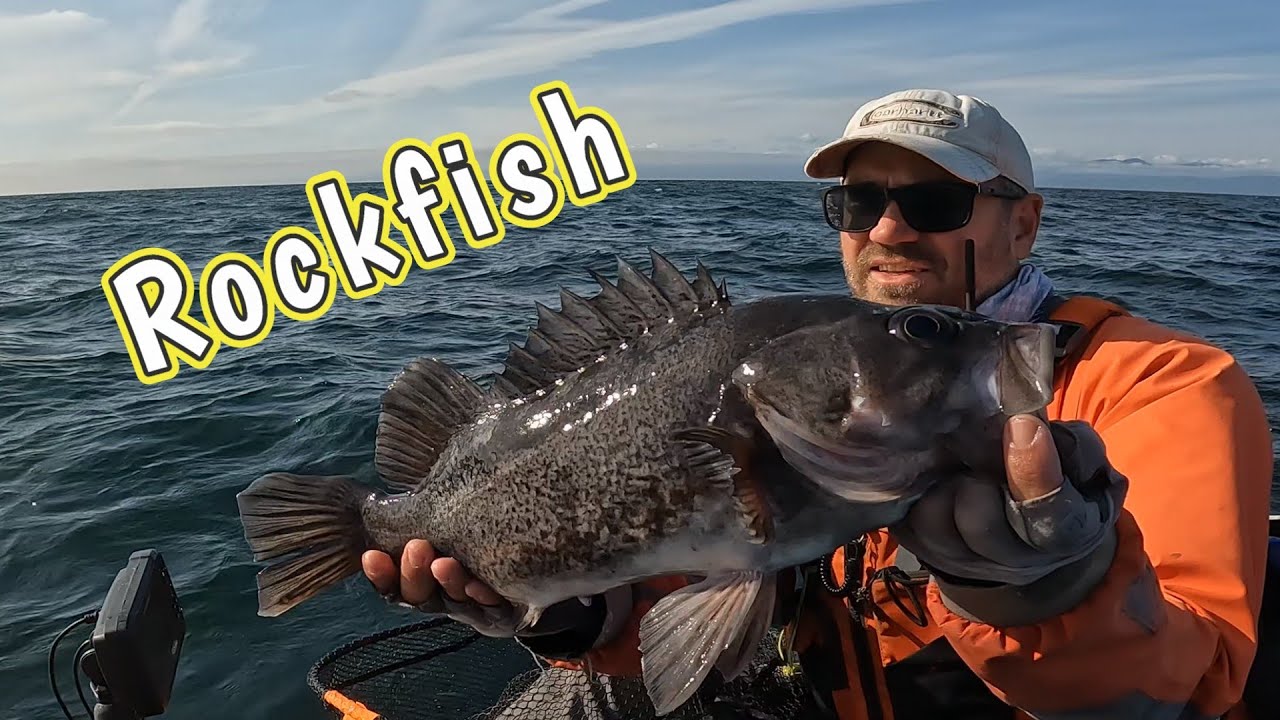 Sekiu 1: Rockfish Redemption
