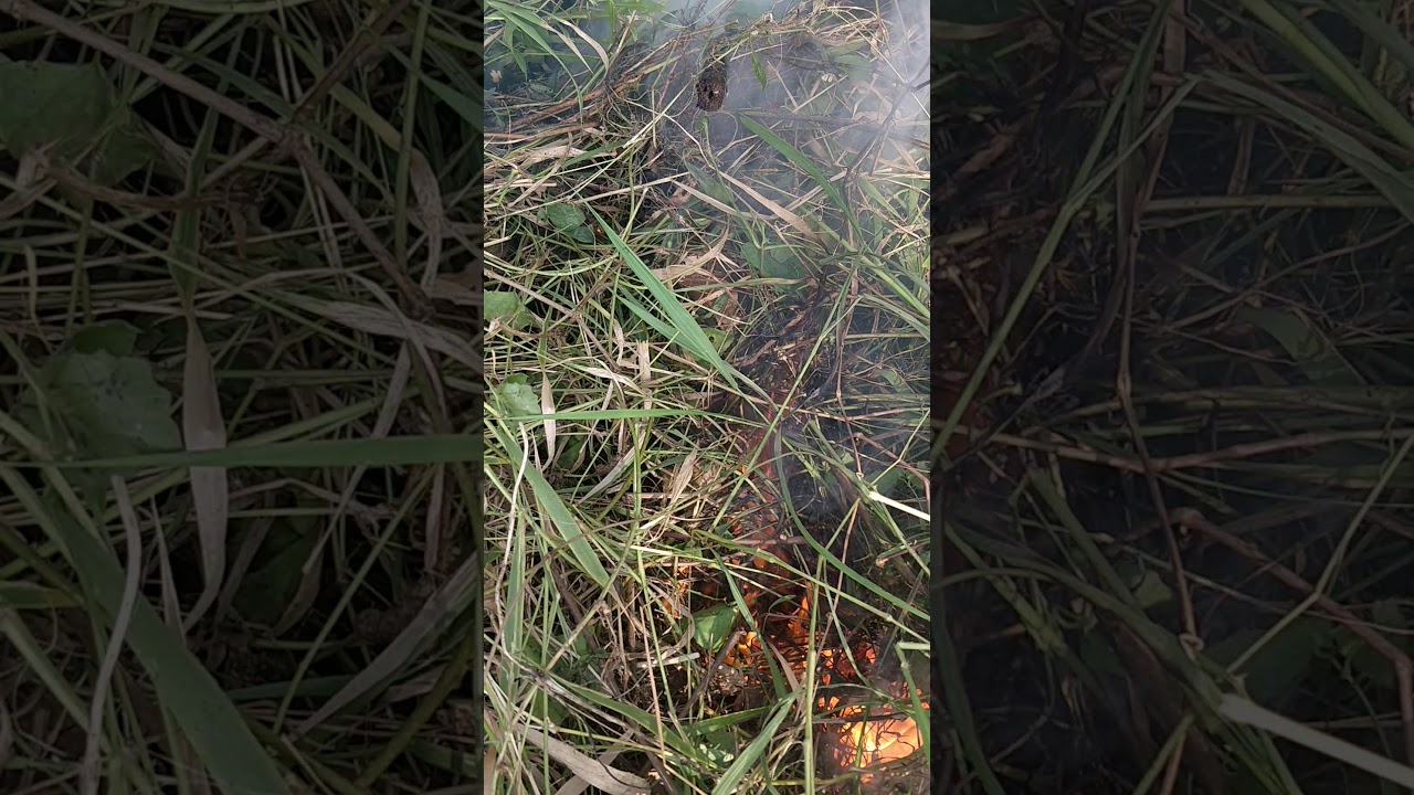 Sound of Fire🔥🔥🔥🔥 #azhichupani