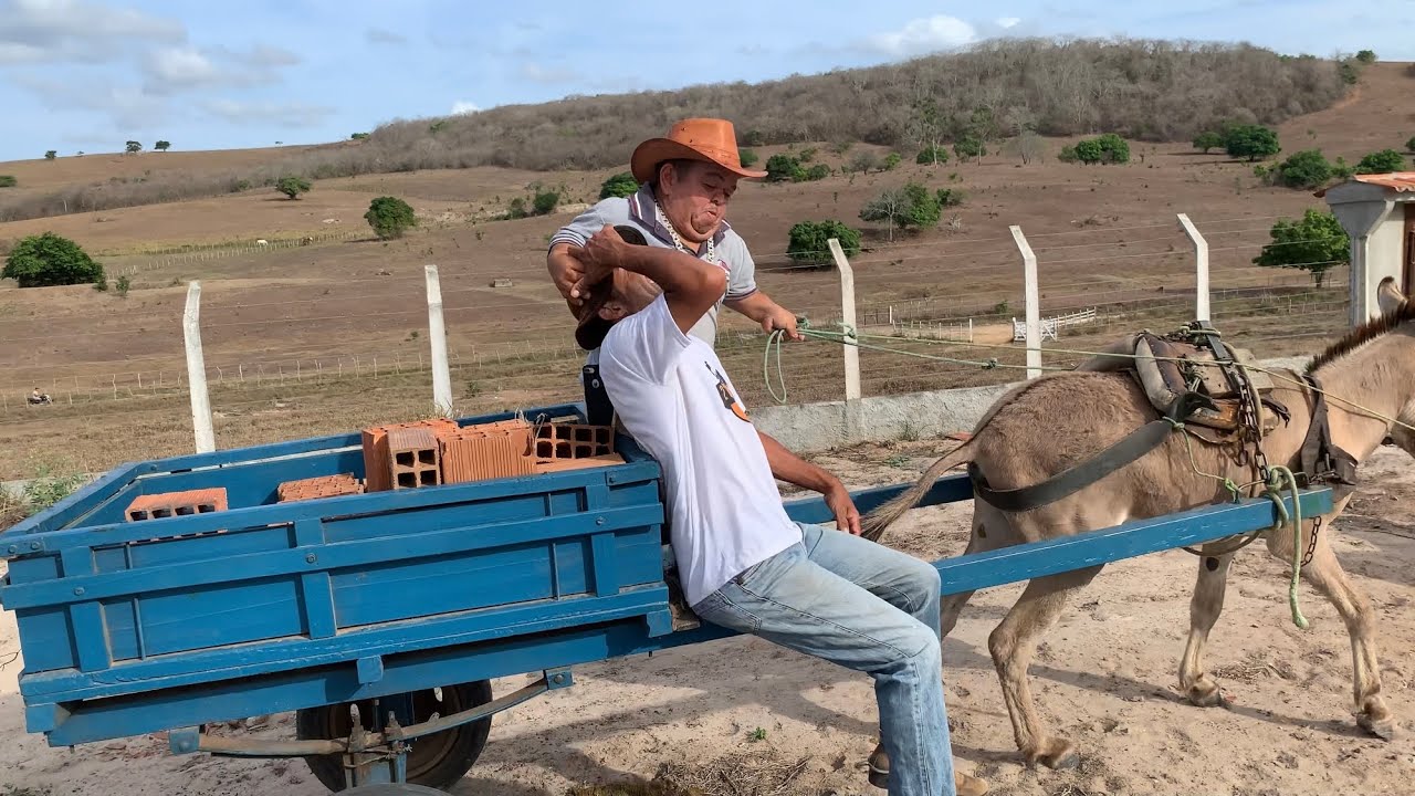 PILILIU COMPRA UM BURRO DE CARROÇA E TENTA DERRUBAR O VAQUEIRO
