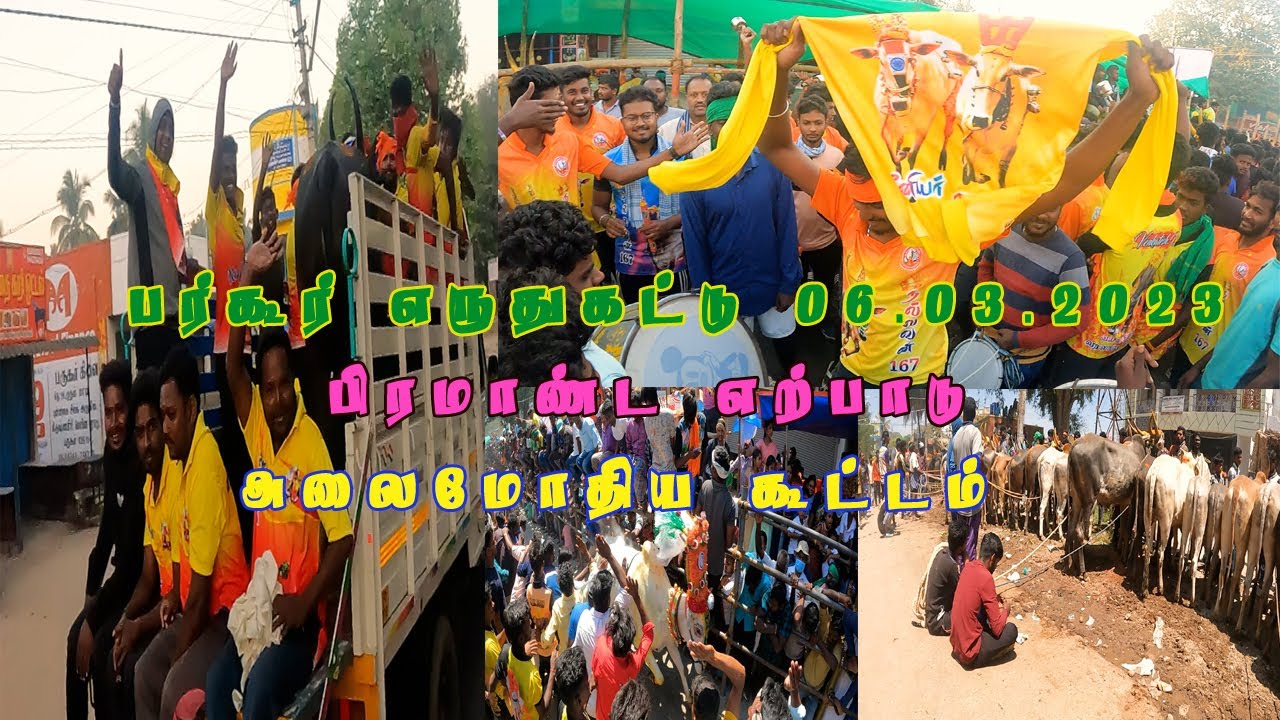 பர்கூர்எருதுக்கட்டு அப்பப்பா. என்னாகூட்டம் அளவுகடந்த காளைகள் 06 03 2023