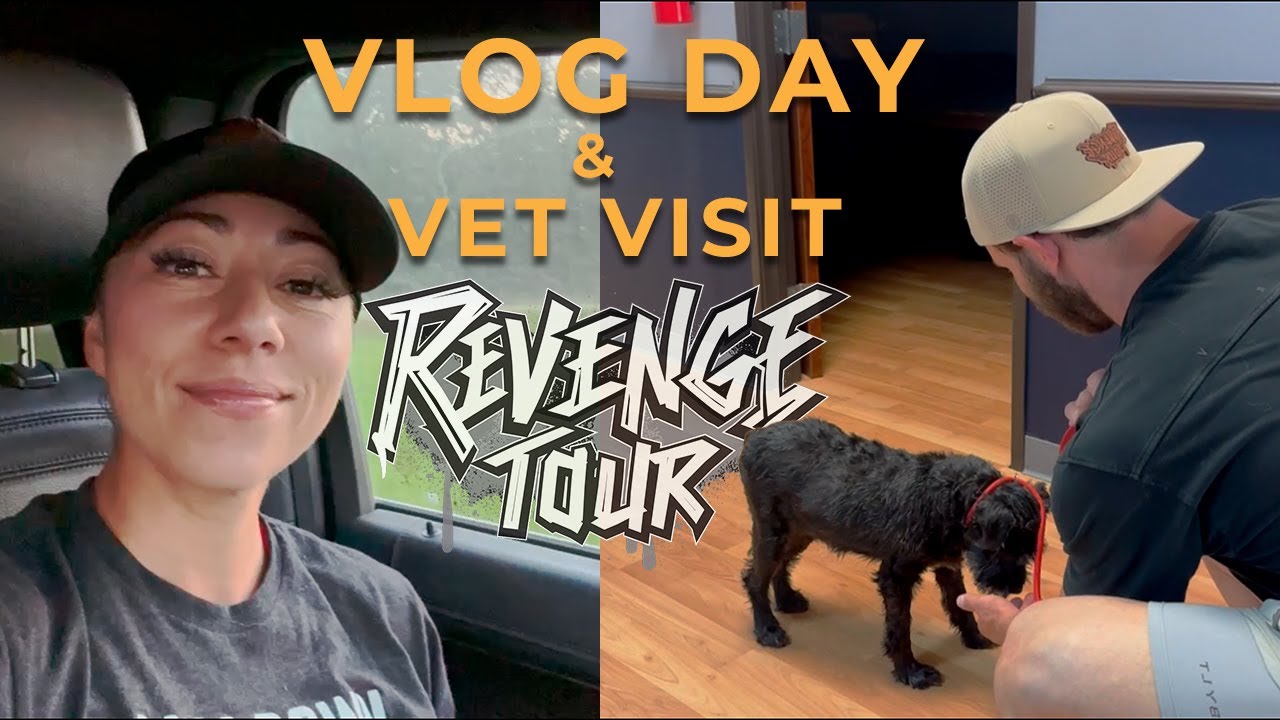 Vlog Day and Vet Visits!