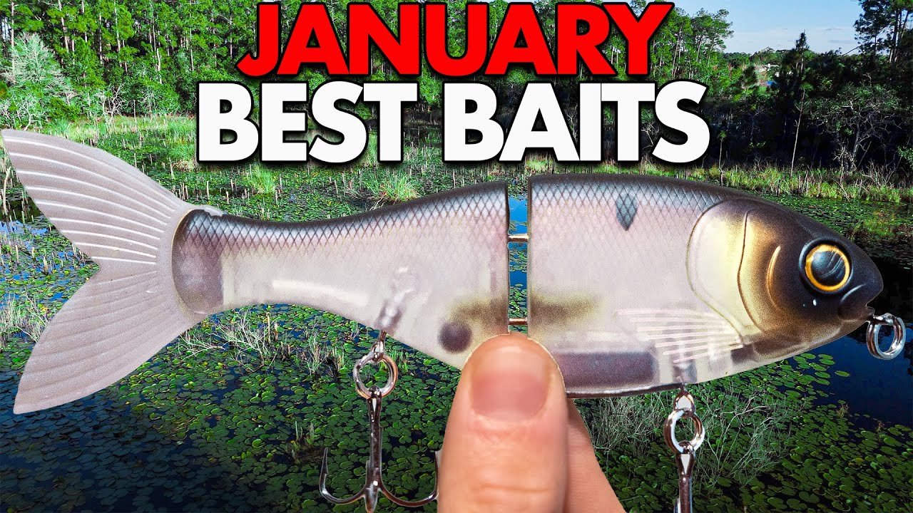 I NEVER Go Fishing Without These 5 Baits in January!