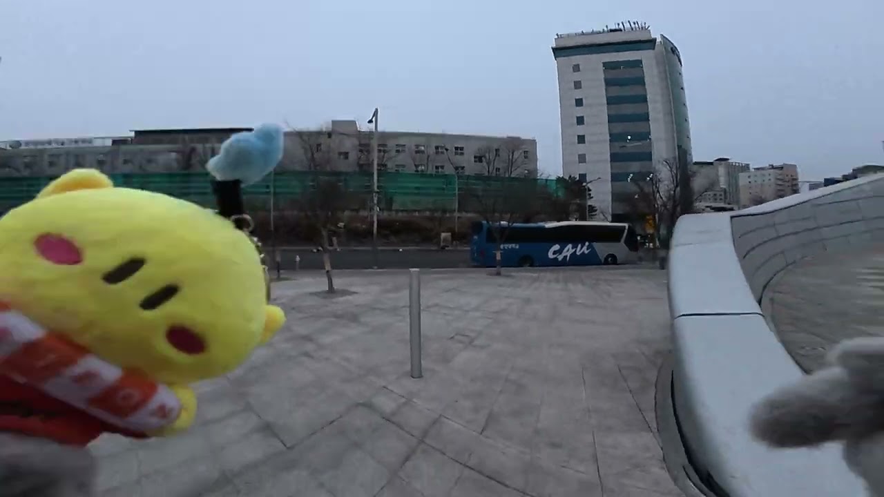 DDP러닝