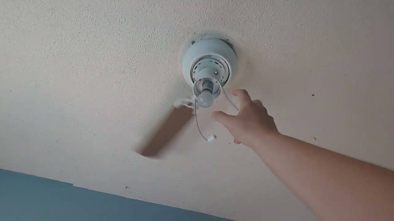 The Hampton Bay Littleton Ceiling fan with 1 blade