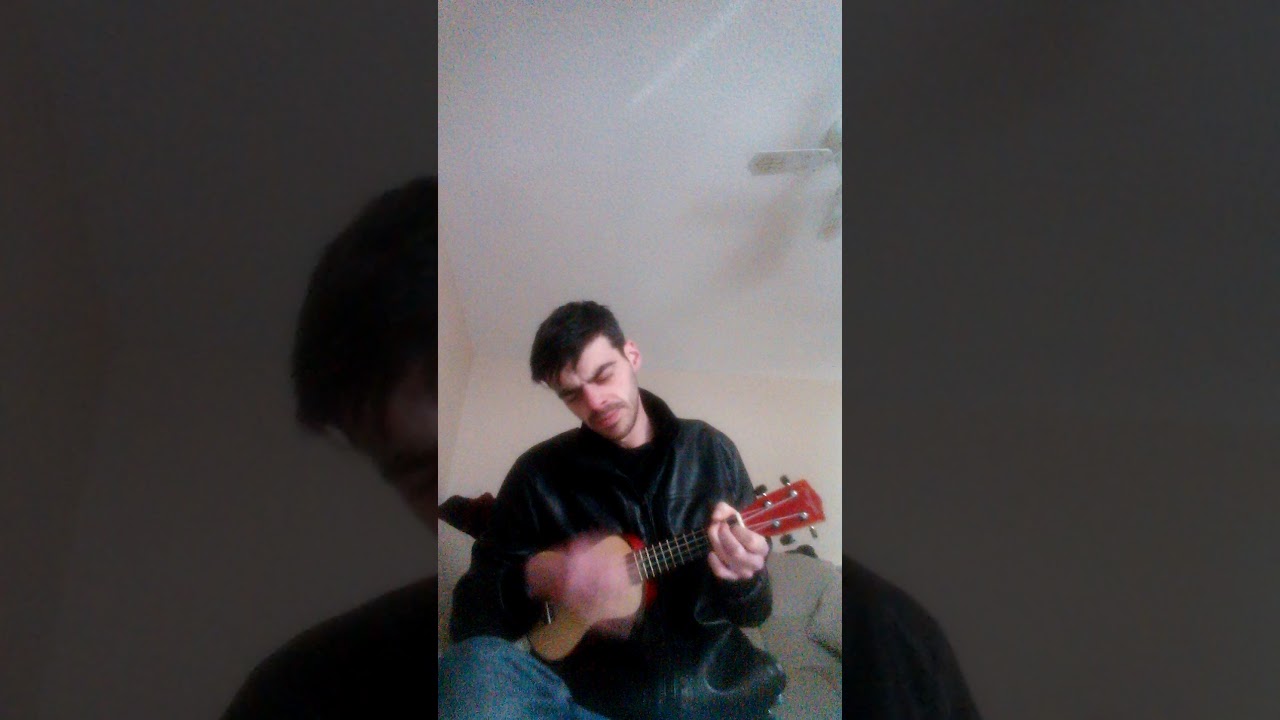 Twenty one pilots cover - stressed out