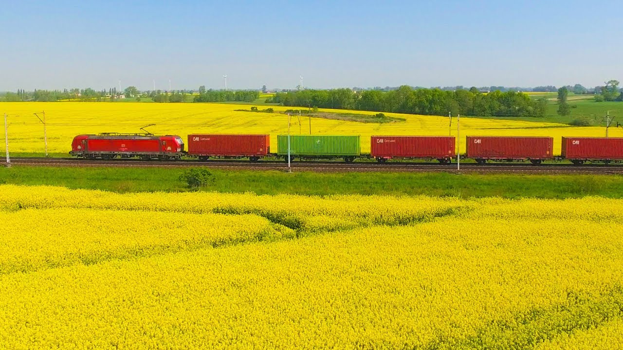 Pociągi w rzepaku - magistrala E20