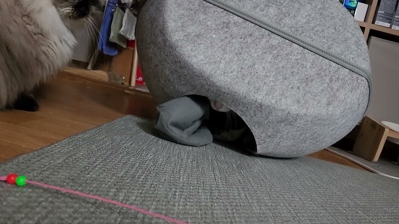 사고뭉치♡