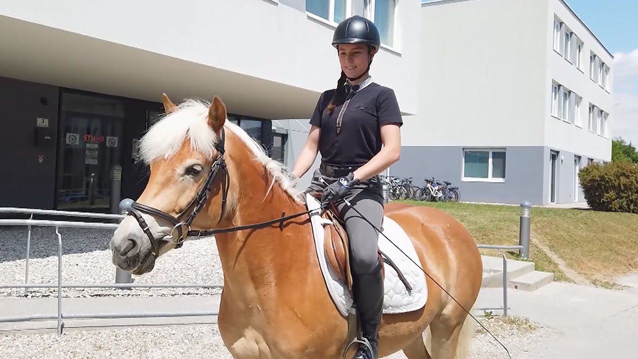 STUWO Lambach - Wohnheim Tour