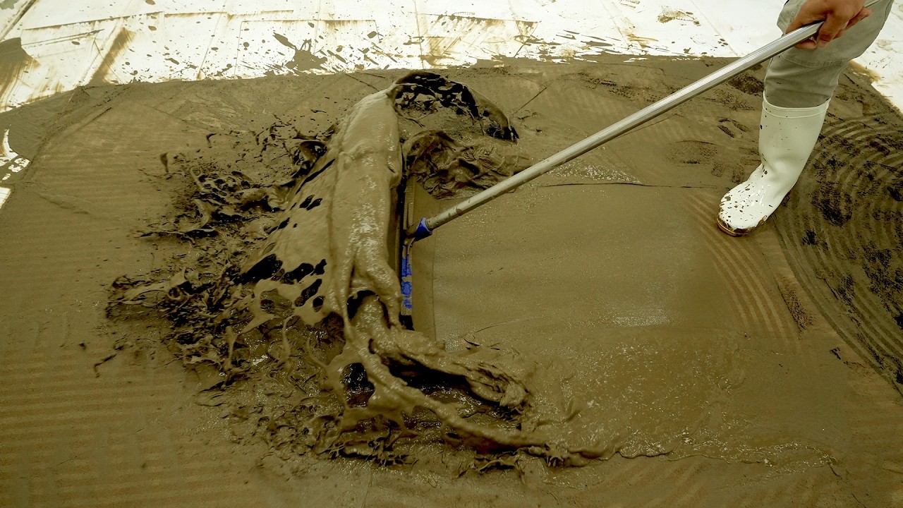 Pulled From a Flooded Basement - The Mud Just Wouldn’t Stop - Carpet Cleaning ASMR